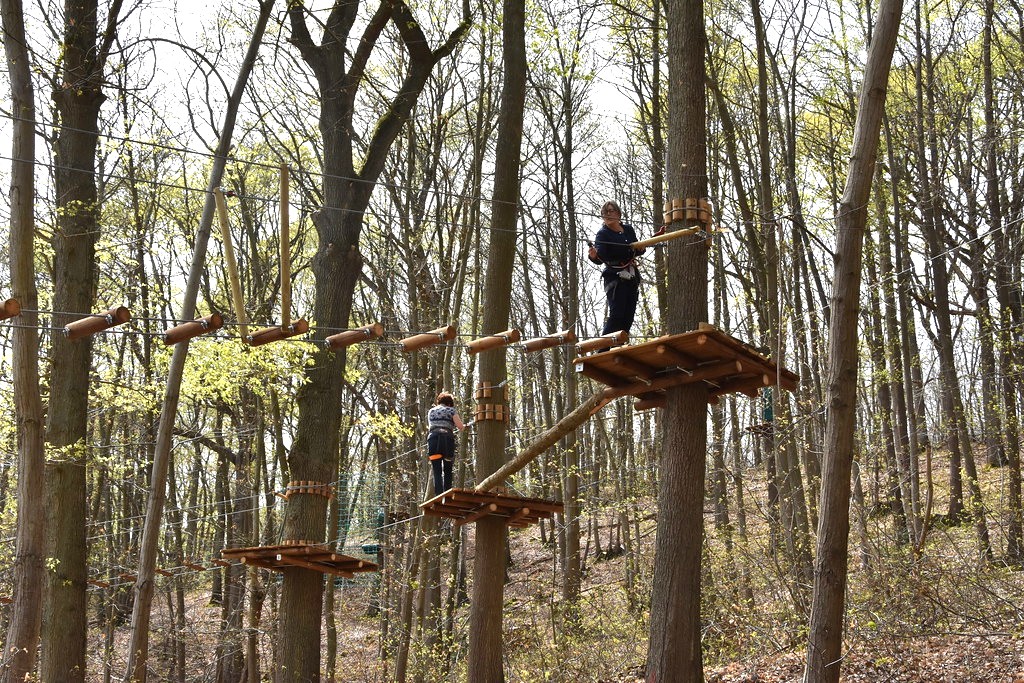 Accrobranche et tyrolienne en forêt, activité de groupe